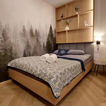 Na Rowni Apartment Zakopane